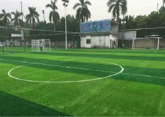 武義人造草坪廠家